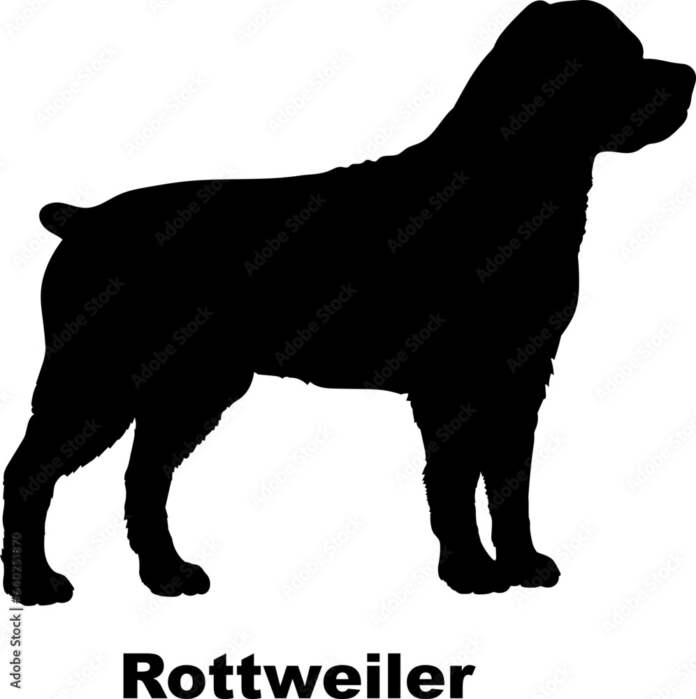 Rottweiler dog silhouette dog breeds Animals Pet breeds silhouette