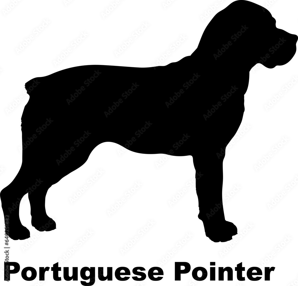 Portuguese Pointer dog silhouette dog breeds Animals Pet breeds silhouette