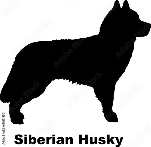 Siberian Husky dog silhouette dog breeds Animals Pet breeds silhouette