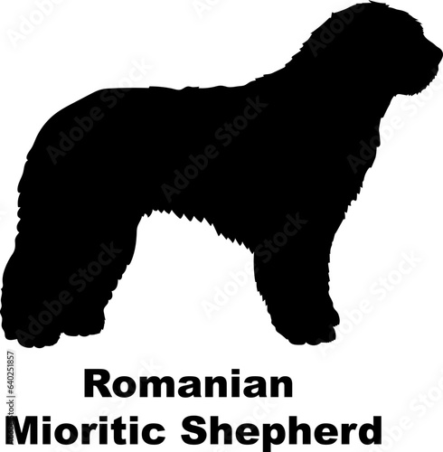 Romanian Mioritic Shepherd dog silhouette dog breeds Animals Pet breeds silhouette