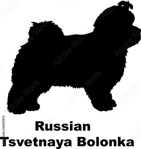 Russian Tsvetnaya Bolonka dog silhouette dog breeds Animals Pet breeds silhouette