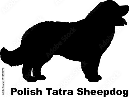 Polish Tatra Sheepdog dog silhouette dog breeds Animals Pet breeds silhouette