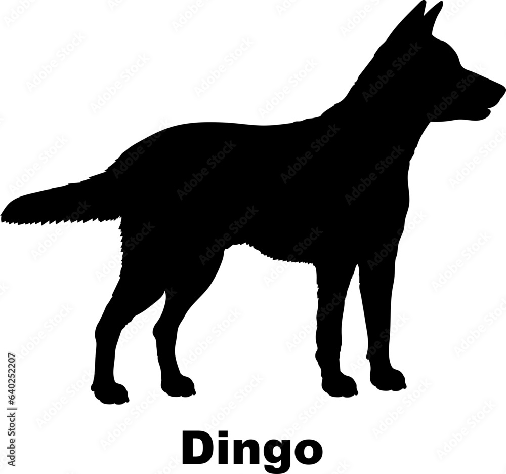 Dingo dog silhouette dog breeds Animals Pet breeds silhouette Dingo dog silhouette dog breeds Animals Pet breeds silhouette