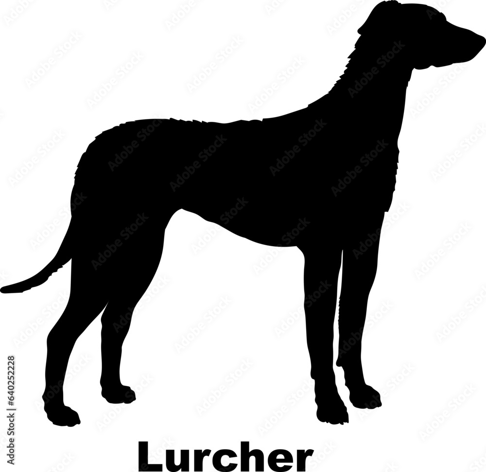 Lurcher dog silhouette dog breeds Animals Pet breeds silhouette Stock Vector Adobe Stock