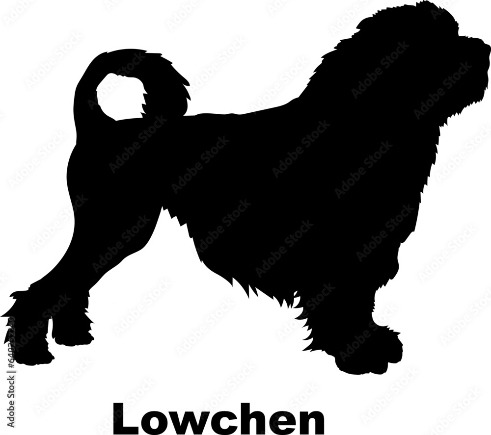 Lowchen dog silhouette dog breeds Animals Pet breeds silhouette