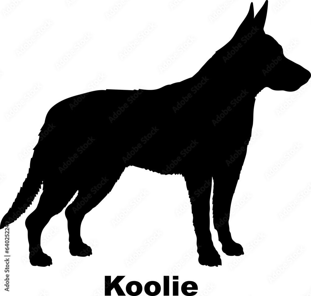  Koolie dog silhouette dog breeds Animals Pet breeds silhouette