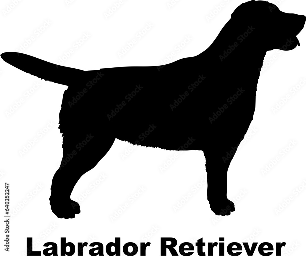 Labrador Retriever dog silhouette dog breeds Animals Pet breeds silhouette