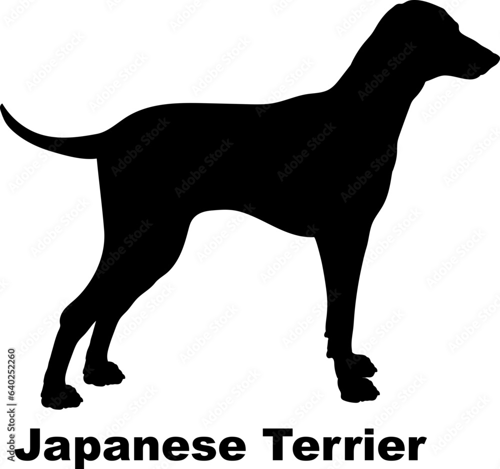 Japanese Terrier dog silhouette dog breeds Animals Pet breeds silhouette