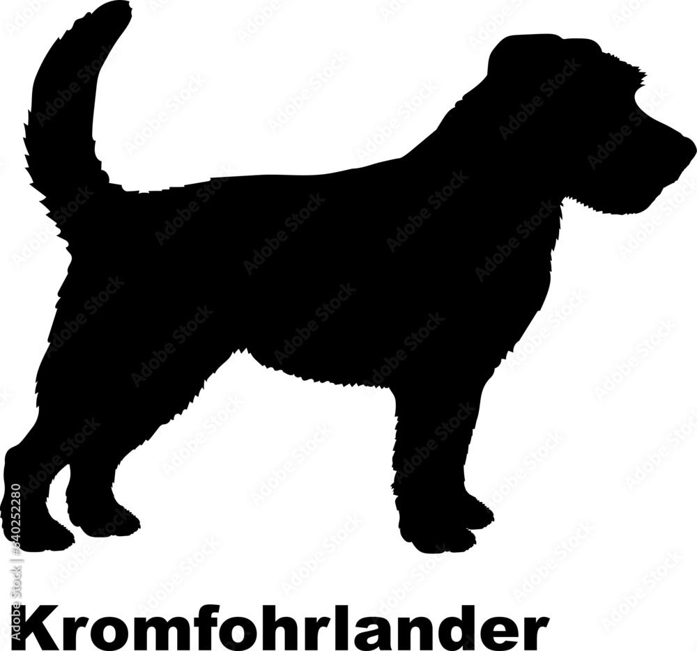 Kromfohrlander dog silhouette dog breeds Animals Pet breeds silhouette