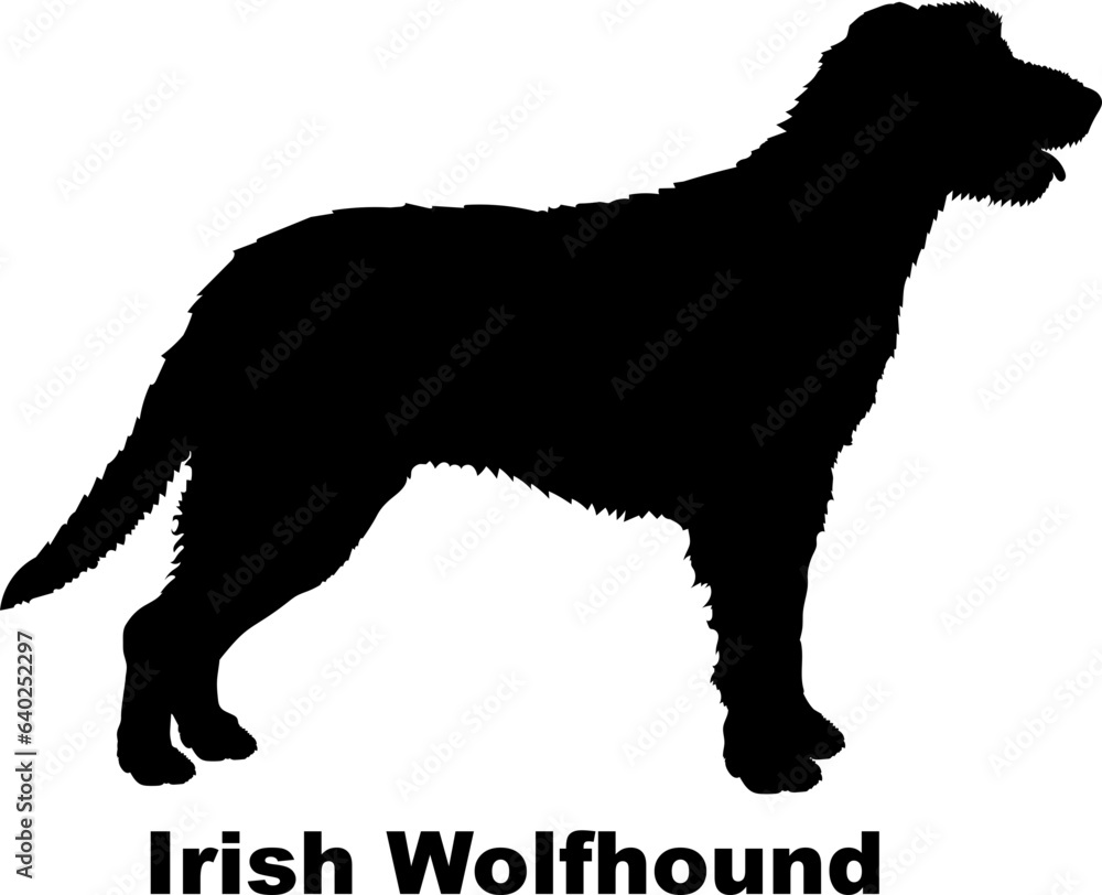 Irish Wolfhound dog silhouette dog breeds Animals Pet breeds silhouette