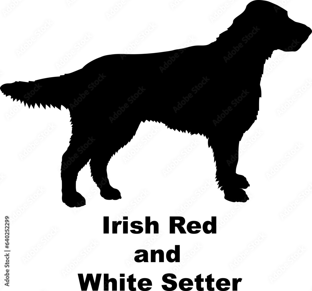 Irish Red and White Setter dog silhouette dog breeds Animals Pet breeds silhouette