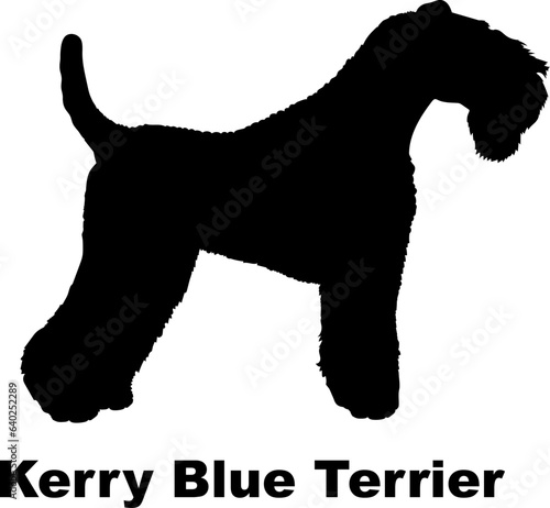 Kerry Blue Terrier dog silhouette dog breeds Animals Pet breeds silhouette
