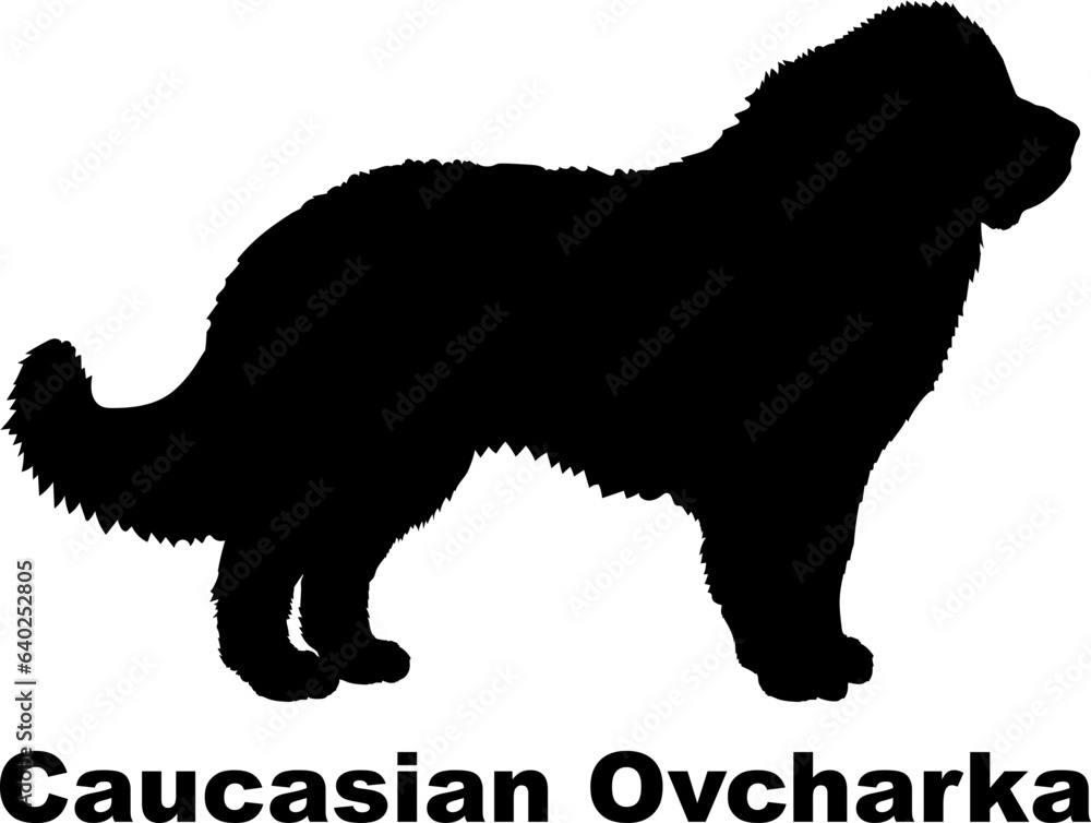 Caucasian Ovcharka dog silhouette dog breeds Animals Pet breeds silhouette Caucasian Ovcharka dog silhouette dog breeds Animals Pet breeds silhouette