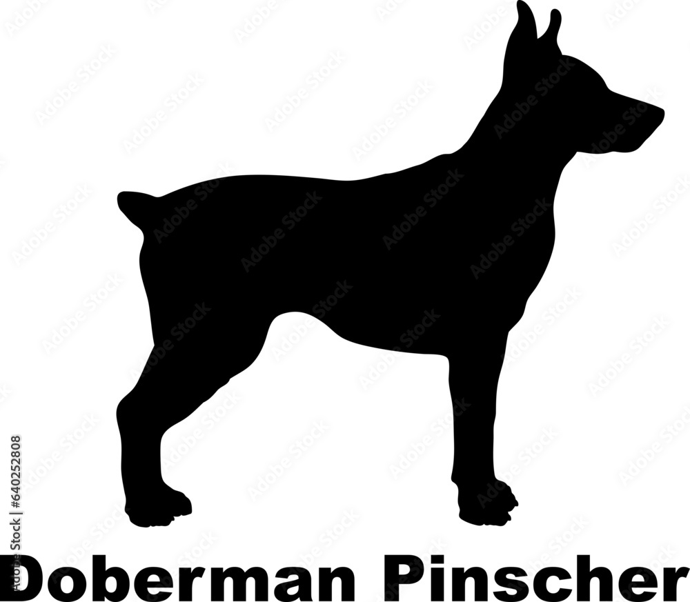 Doberman Pinscher dog silhouette dog breeds Animals Pet breeds silhouette