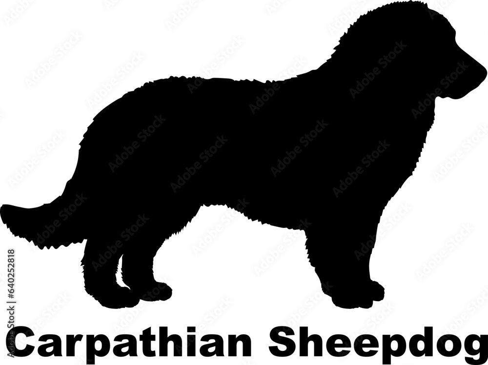 Carpathian Sheepdog dog silhouette dog breeds Animals Pet breeds silhouette