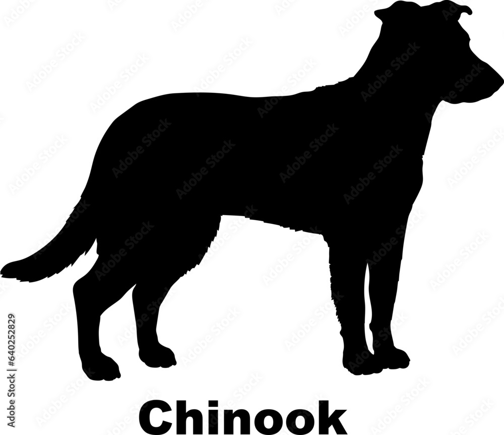 Chinook dog silhouette dog breeds Animals Pet breeds silhouette Chinook dog silhouette dog breeds Animals Pet breeds silhouette