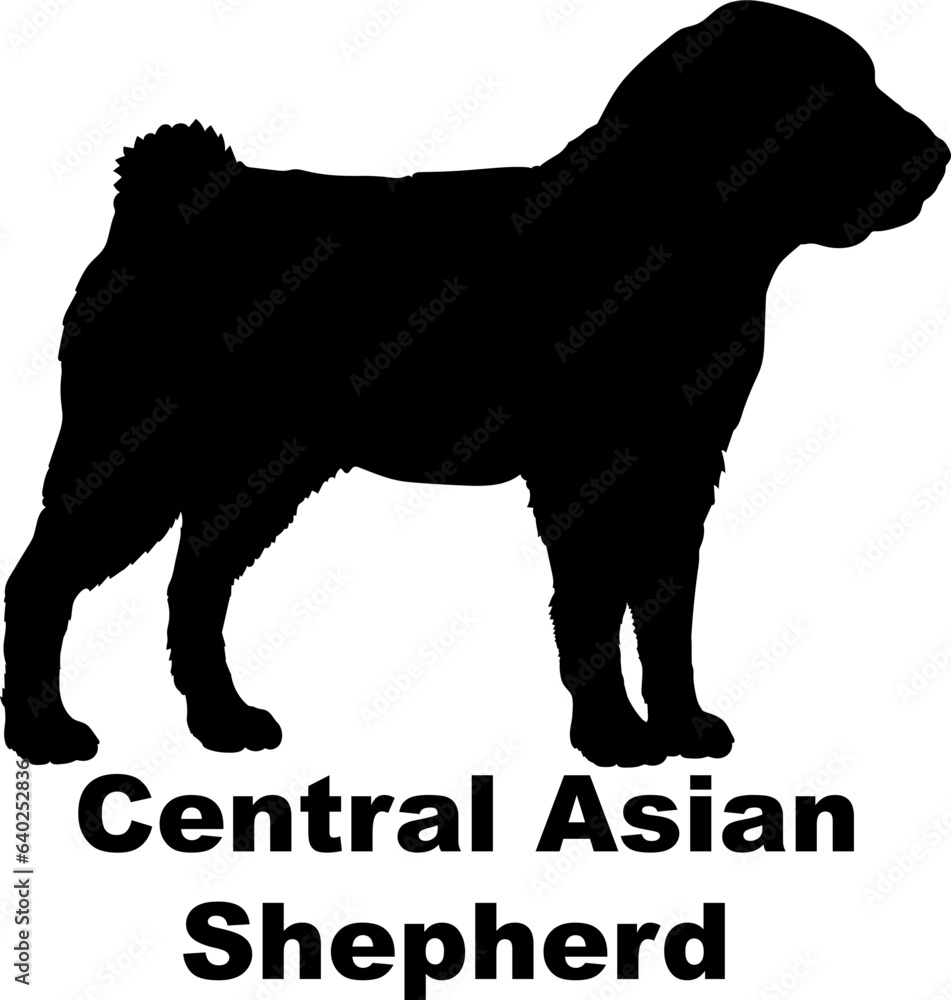 Central Asian Shepherd dog silhouette dog breeds Animals Pet breeds silhouette