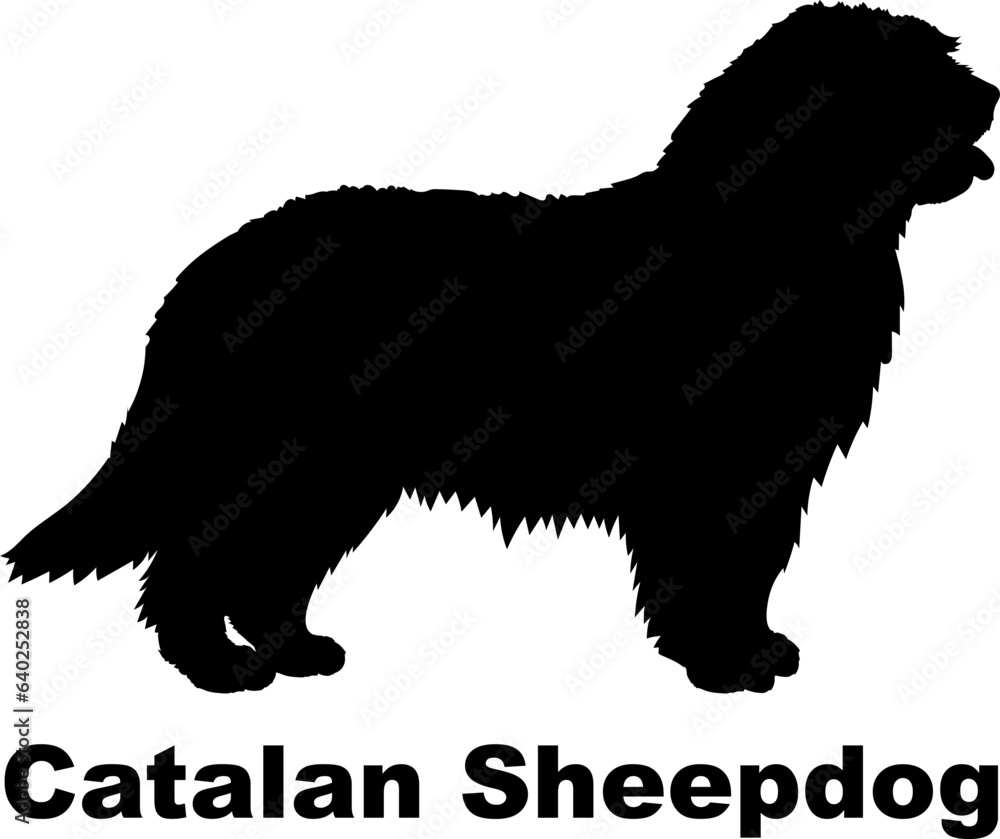 Catalan Sheepdog dog silhouette dog breeds Animals Pet breeds silhouette