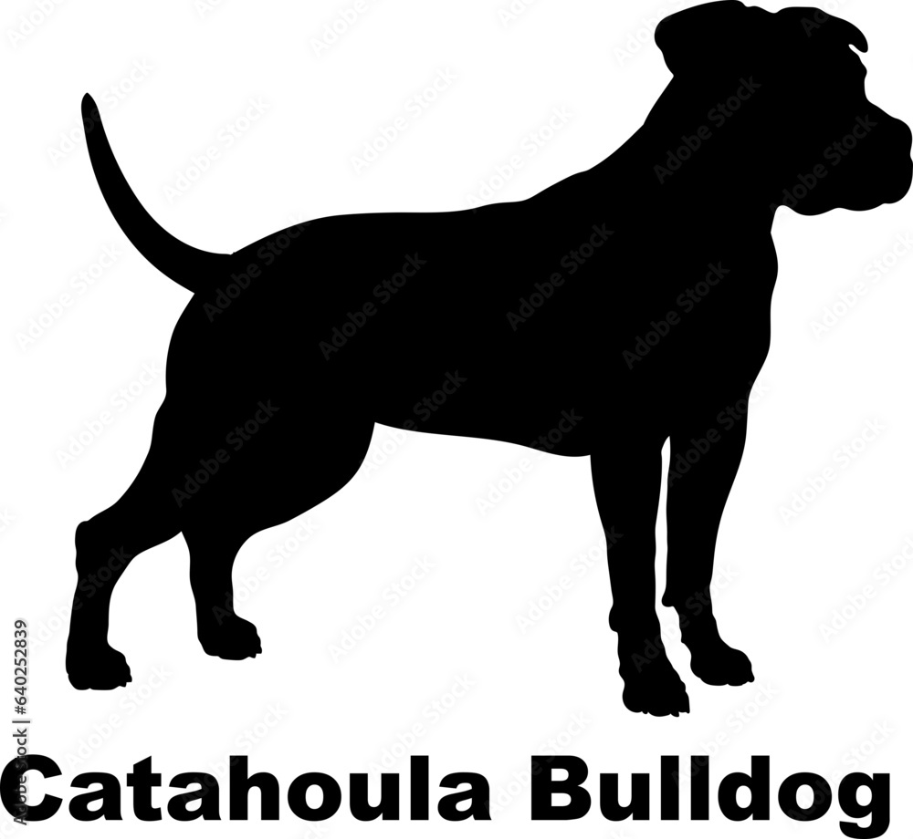 Catahoula Bulldog dog silhouette dog breeds Animals Pet breeds silhouette