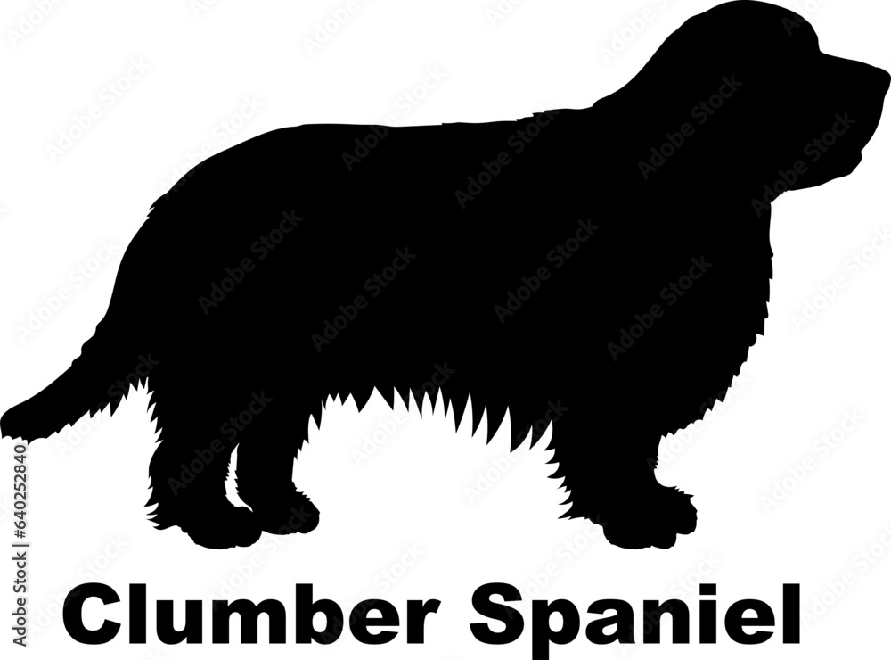 Clumber Spaniel dog silhouette dog breeds Animals Pet breeds silhouette Clumber Spaniel dog silhouette dog breeds Animals Pet breeds silhouette