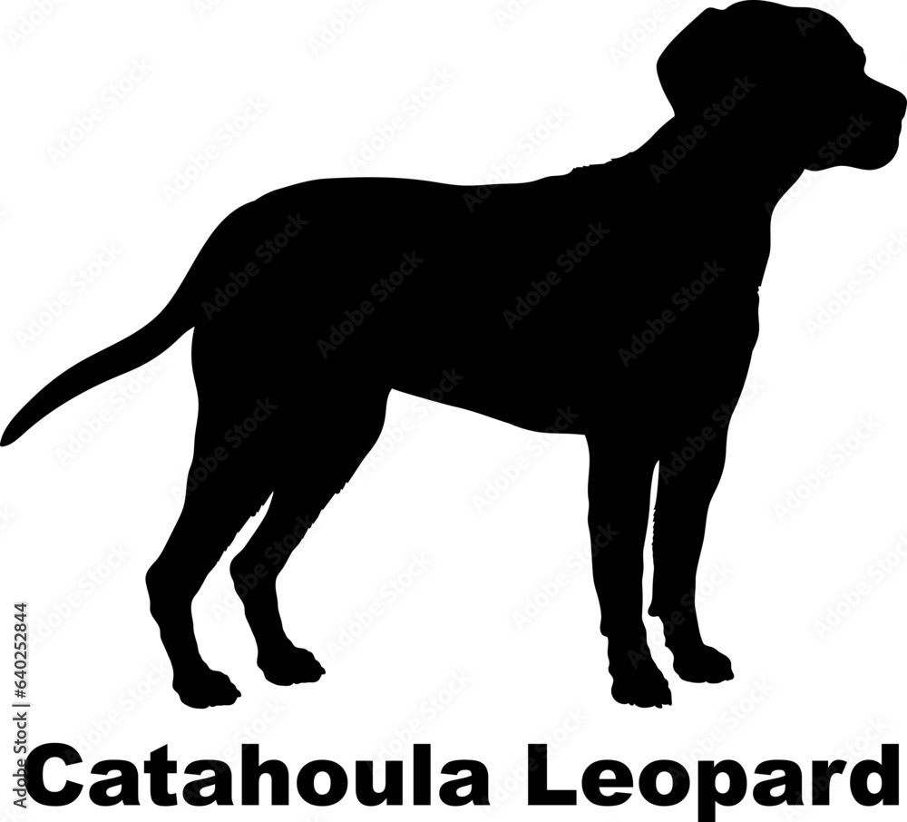 Catahoula Leopard dog silhouette dog breeds Animals Pet breeds silhouette
