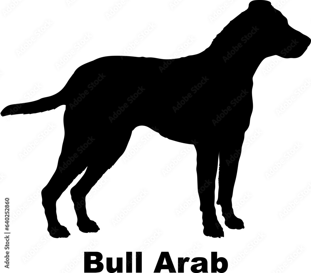 Bull Arab dog silhouette dog breeds Animals Pet breeds silhouette