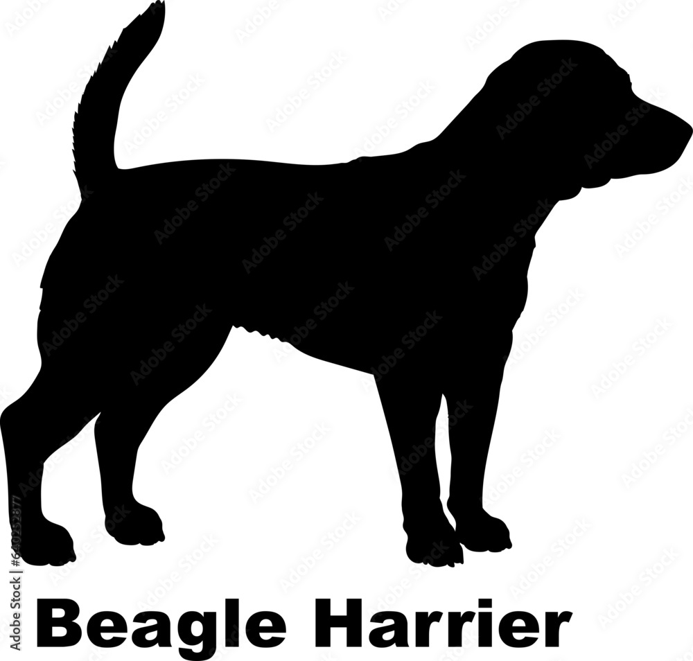 Beagle Harrier. dog silhouette dog breeds Animals Pet breeds silhouette