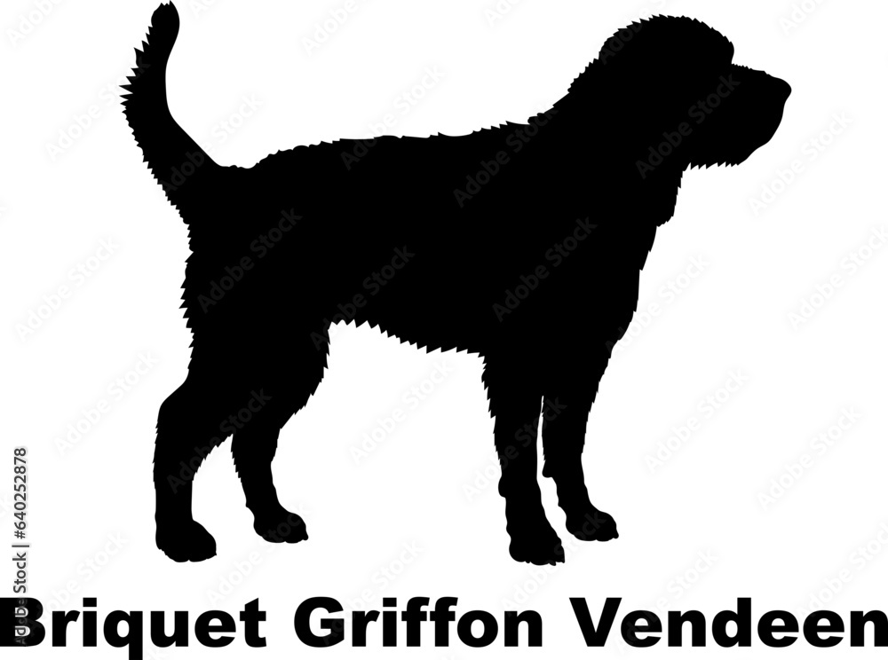 Briquet Griffon Vendeen dog silhouette dog breeds Animals Pet breeds silhouette