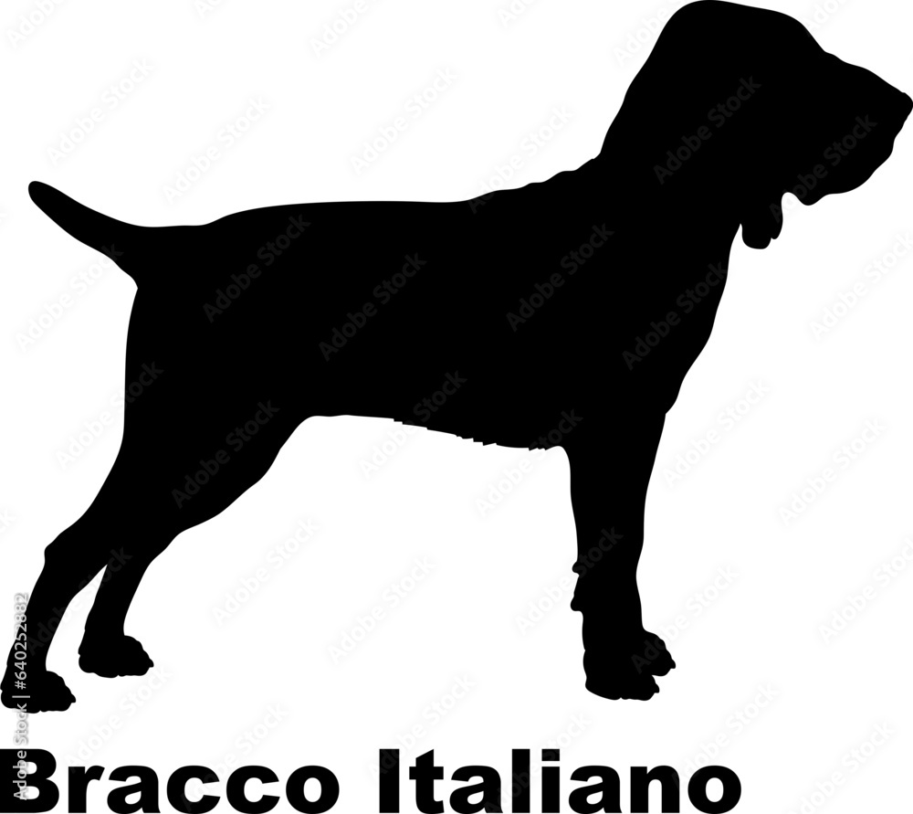 Bracco Italiano dog silhouette dog breeds Animals Pet breeds silhouette