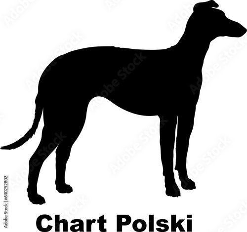 Chart Polski dog silhouette dog breeds Animals Pet breeds silhouette