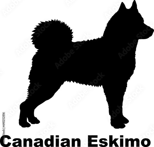 Canadian Eskimo dog silhouette dog breeds Animals Pet breeds silhouette