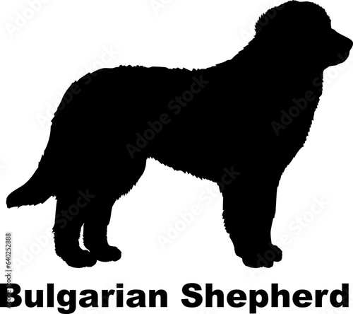 Bulgarian Shepherd dog silhouette dog breeds Animals Pet breeds silhouette