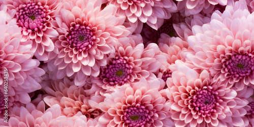 Colorful Chrysanthemum flowers wallpaper. Beautiful floral pattern that repeats. © henjon