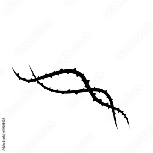 thorny vines