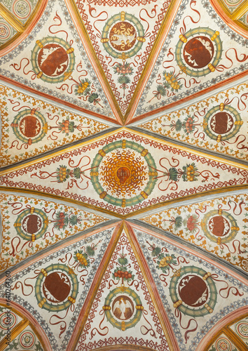  Charterhouse, the ceiling of main nave of the church