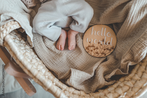 Legs of a newborn baby and a wooden board with the inscription: hello world photo