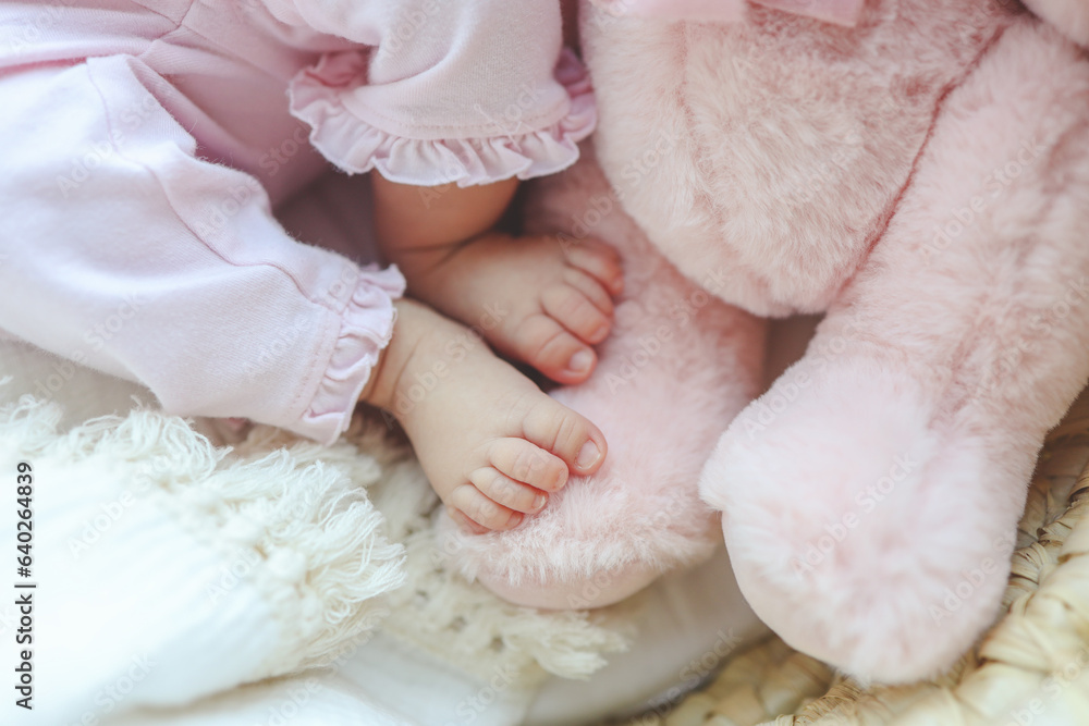 Cute newborn baby feet and pink plush toy Cute newborn baby feet and pink plush toy