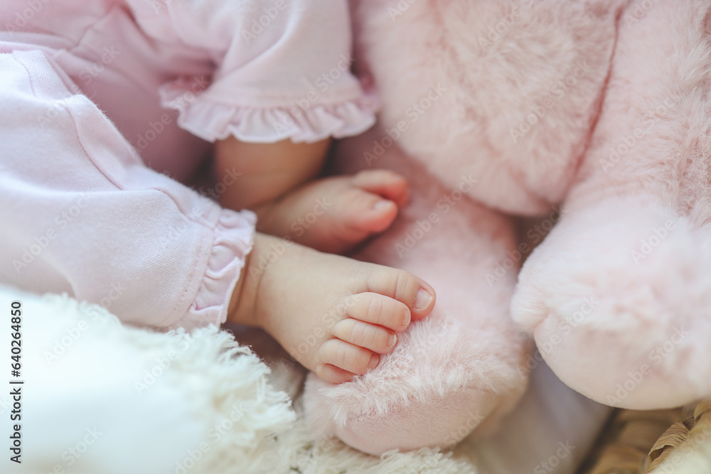 Cute newborn baby feet and pink plush toy Cute newborn baby feet and pink plush toy