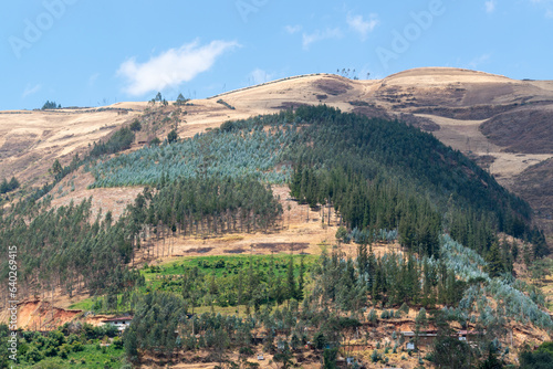 landscape of a hill with trees