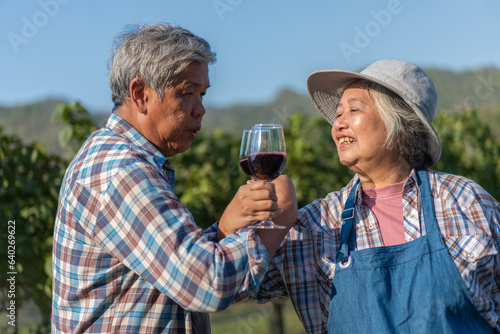 Happy old elderly couple with a glass of red wine celebrate the good harvest of grapes. Old couple of Asian flavors and checking red outside in a vineyard on a vineyard background.