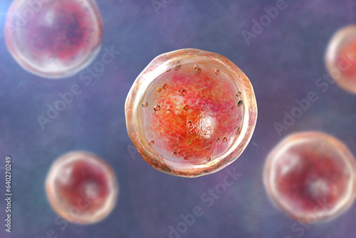 Emmonsia microscopic pathogenic fungi, adiaspore stage, 3D illustration photo