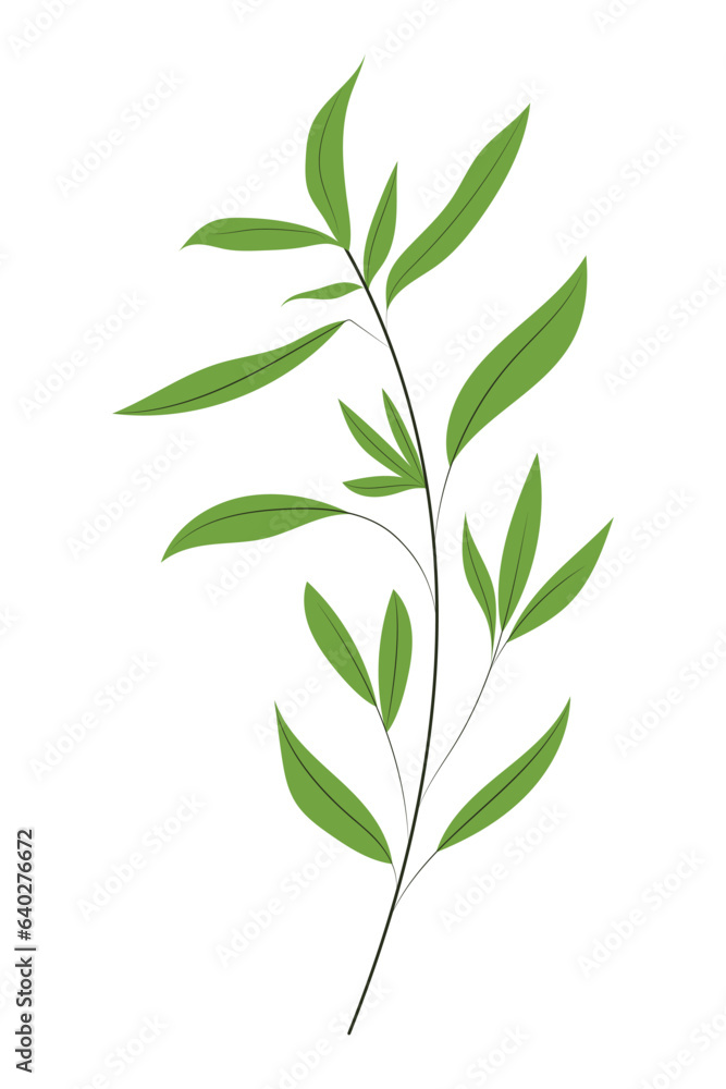 Hand drawn herb or a plant, isolated vector illustration Hand drawn herb or a plant, isolated vector illustration