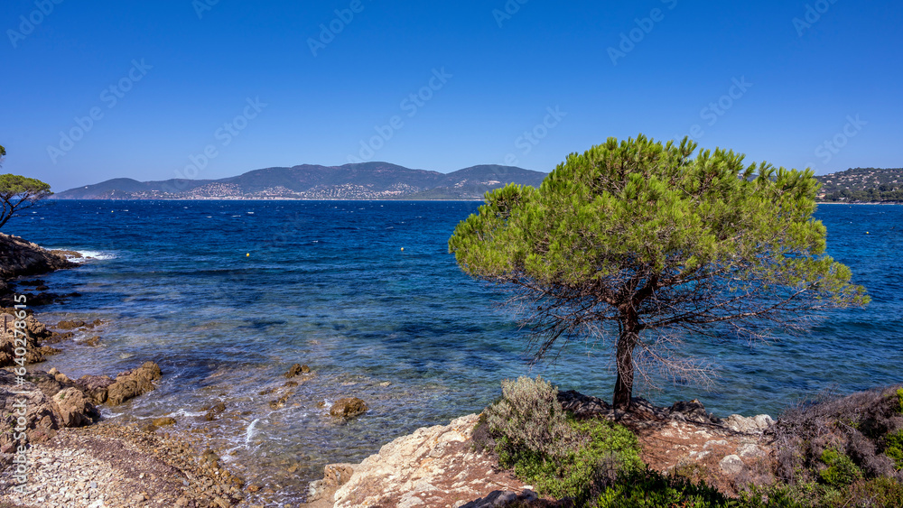 Paysage marin de la côte sauvage et rocheuse du Cap Lardier aux eaux transparentes en été en France dans le département du Var