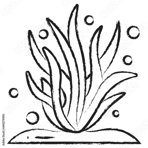 Hand drawn Seaweed icon