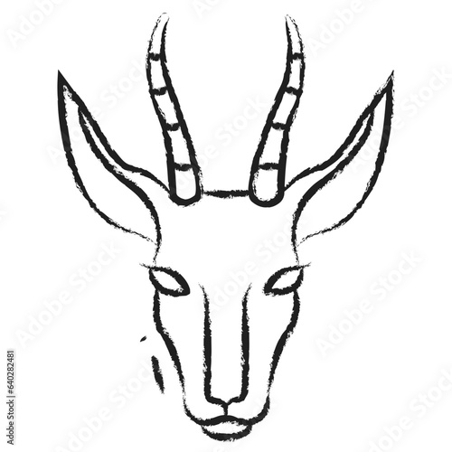 Hand drawn Springbok icon