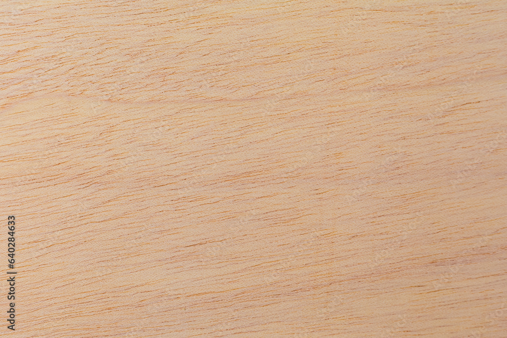 Light rough textured cut surface of an African tree. Wood background or blank for design Light rough textured cut surface of an African tree. Wood background or blank for design