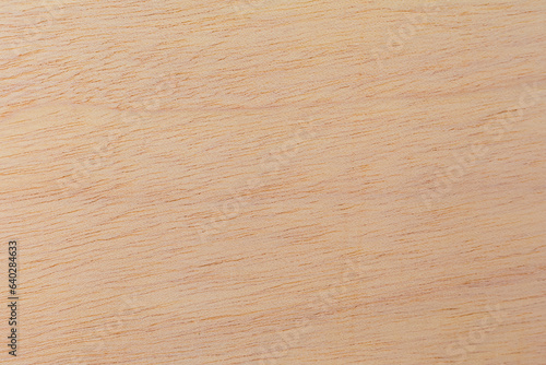Light rough textured cut surface of an African tree. Wood background or blank for design