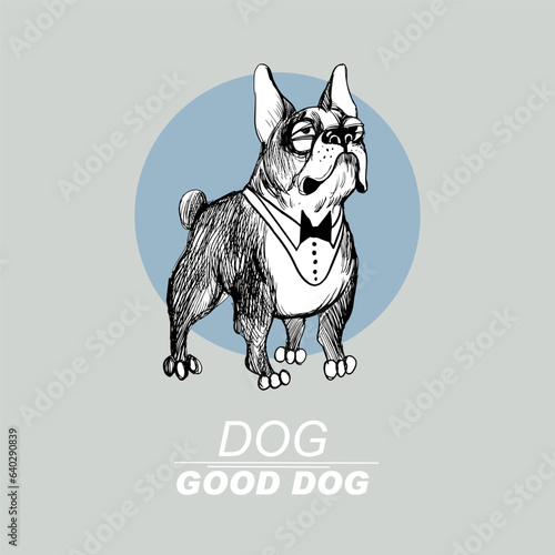 Home is where the dog is. Funny dog illustration. Vector sketch. Vector Sketch 