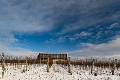 Winter landscape near Popice, Southern Moravia, Czech Republic photo