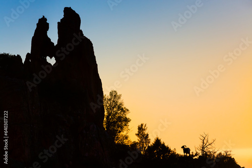 Wild goat silhouette in the rocks of Calanche de Piana, Les Calanques de Piana in Corsica